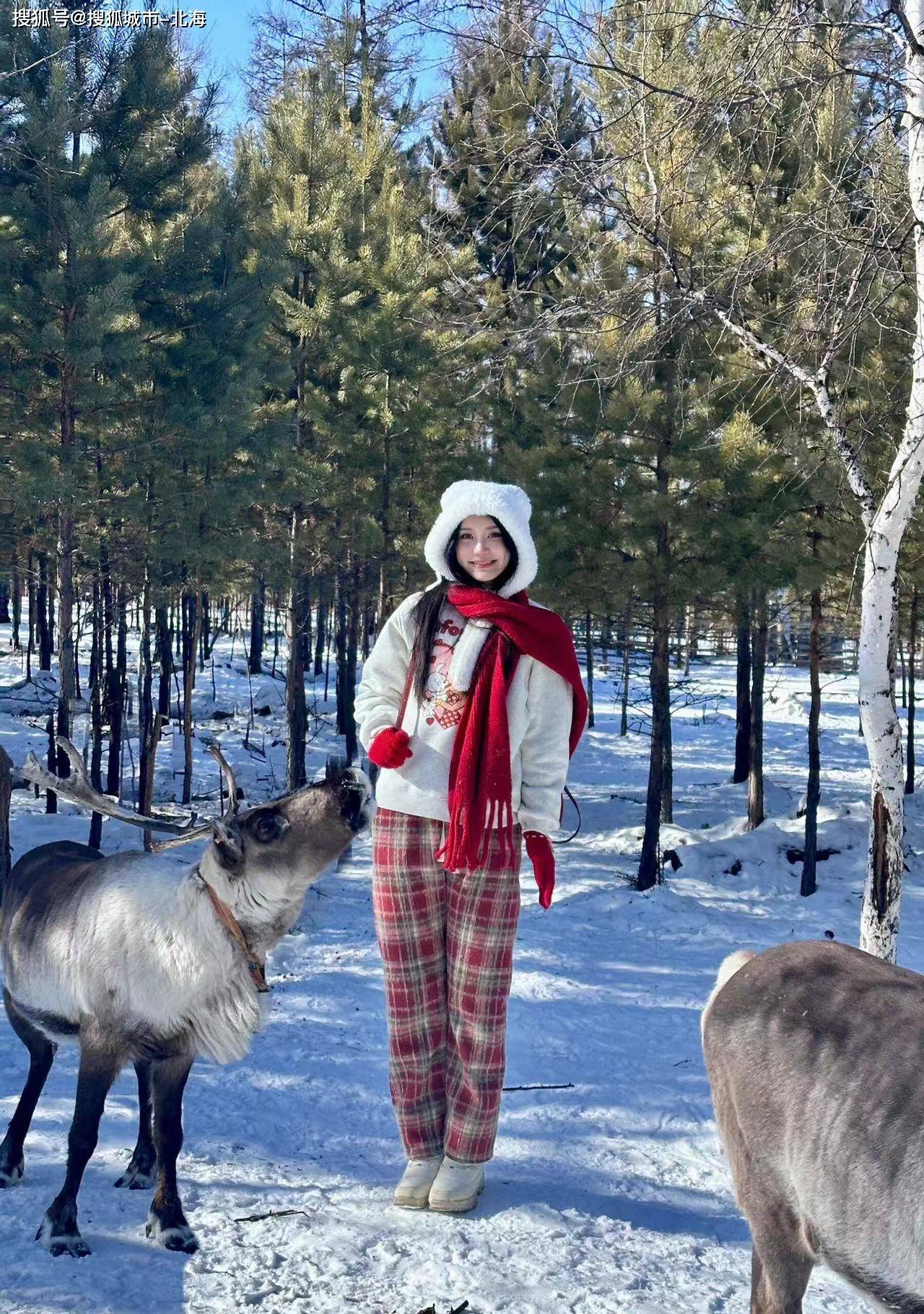 前往哈尔滨雪乡旅游一趟需要多少钱人民币？去哈尔滨雪乡旅游费用多少钱一个人