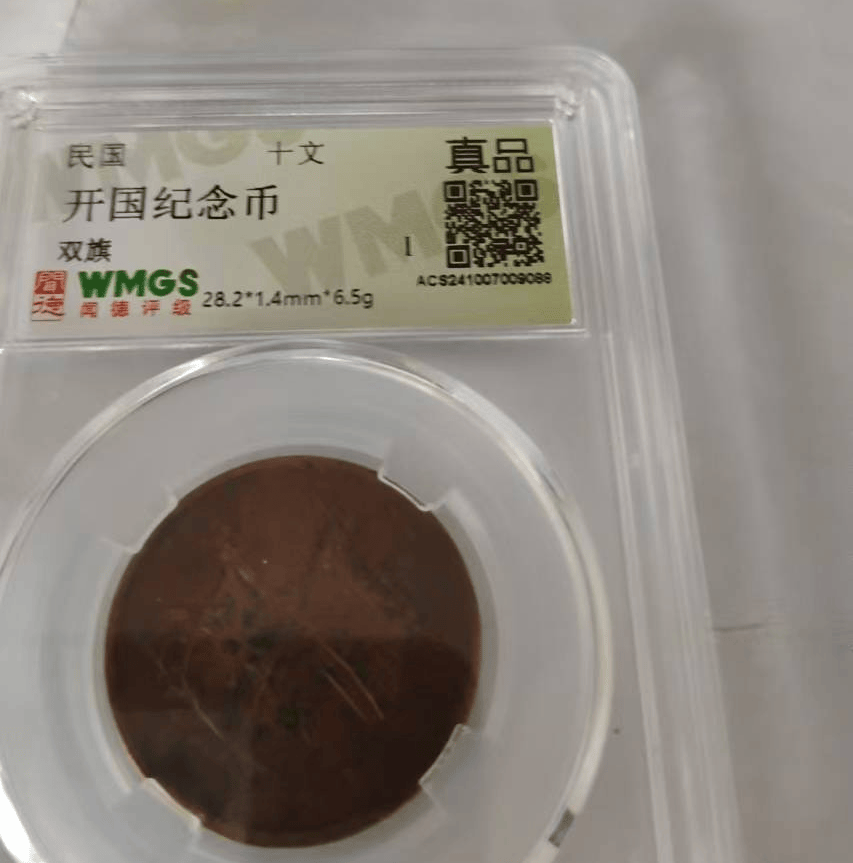 开国纪念币《十文双旗币》