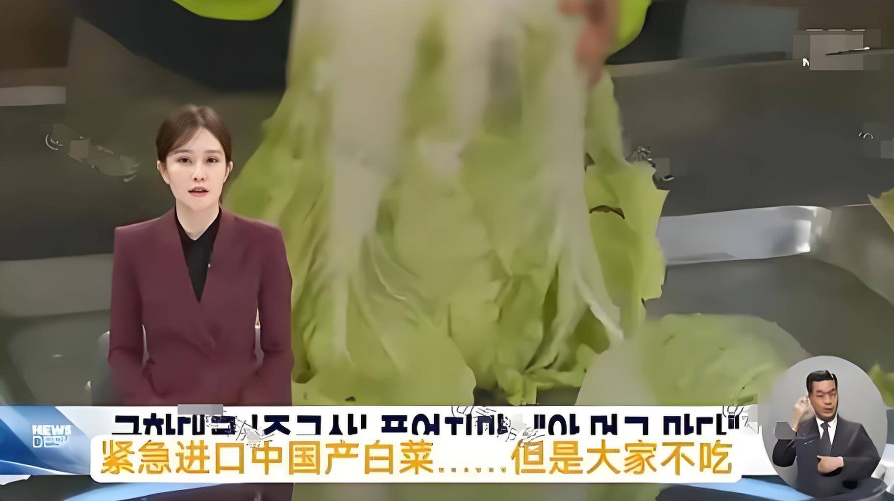 一颗白菜折合人民币105块：韩国人，真的饿死也不吃“外国菜”？