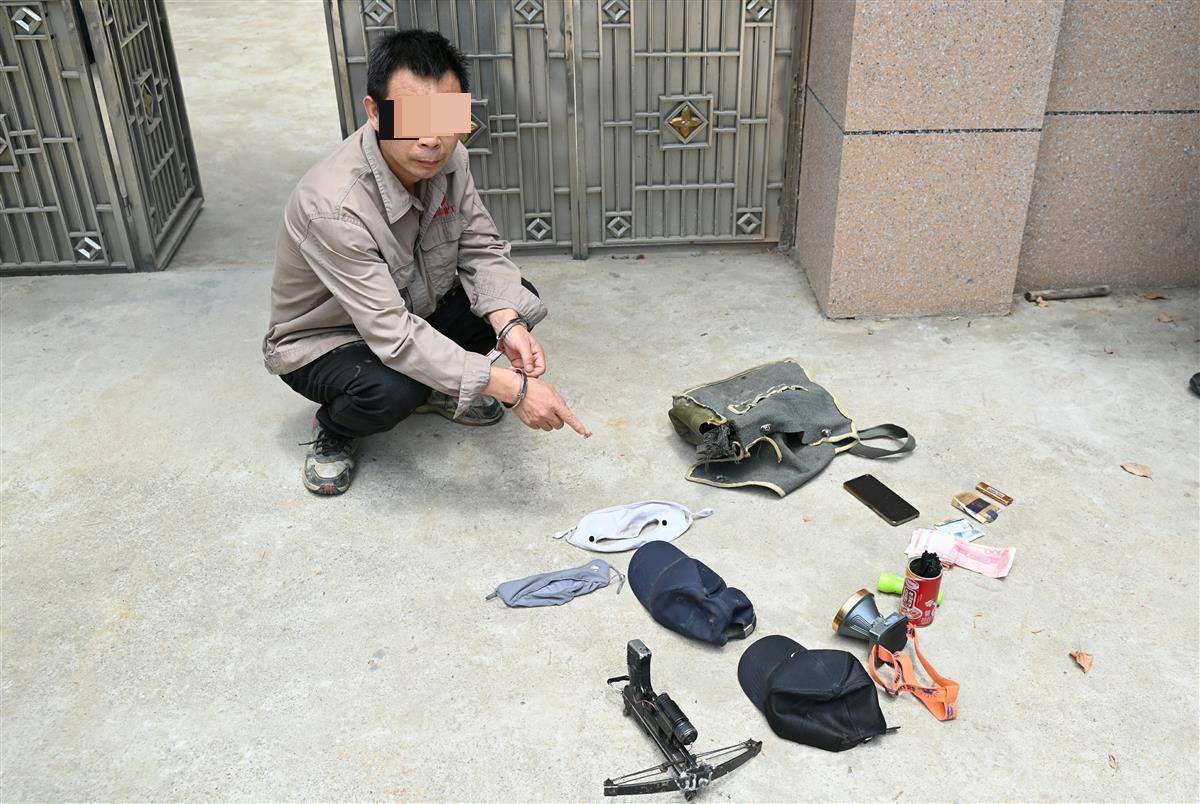 抓获6人！荆门东宝警方终结“毒影”盗狗链