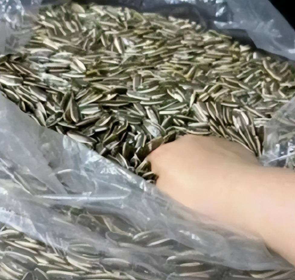 游戏还没发售，《昭和米国物语》怎么就和"币圈诈骗"扯上关系了？