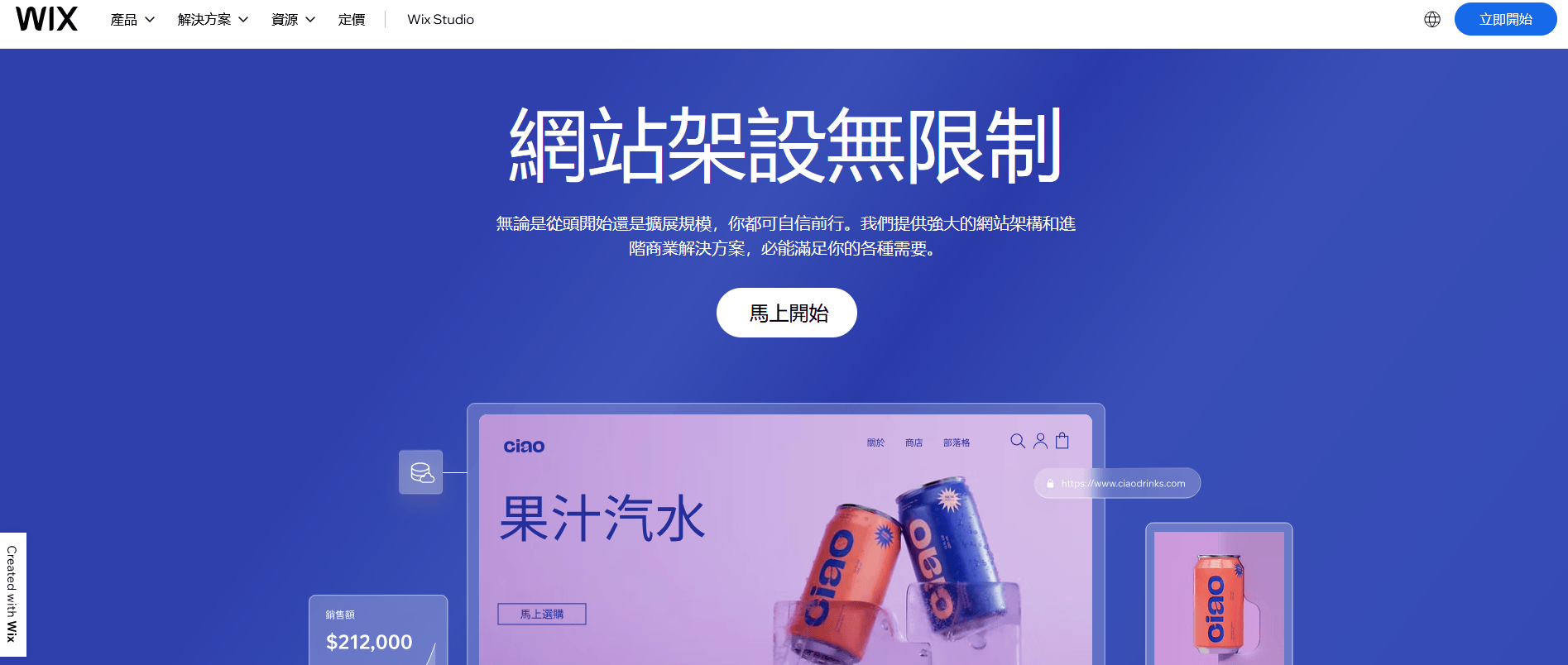 自建网站平台有哪些