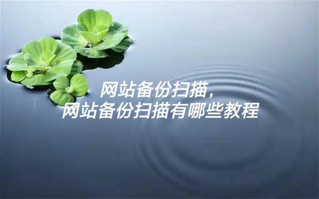 网站备份扫描，网站备份扫描有哪些教程