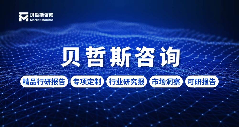 2025年电子货币行业资讯与市场规模研究及预测报告