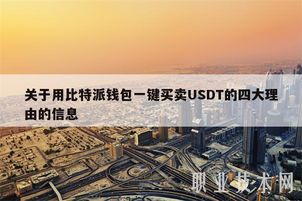 比特网usdt怎么卖出(比特派的usdt怎么转出)