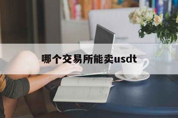 哪个交易所能卖usdt(usdt哪个交易所价格高)